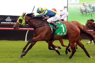 Luvaluva (NZ) showed an impressive finishing burst to win Friday’s A$200,000 Carlton Draught Kembla Grange Classic (1600m). Photo: Grant Guy